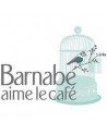 Barnabé aime le café